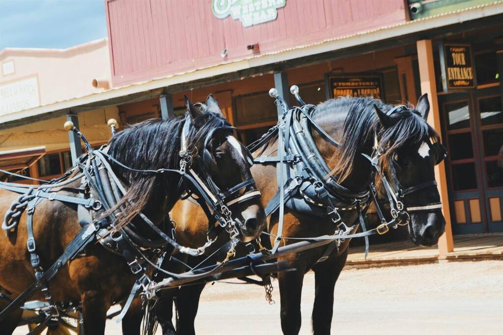 Silver Spur Homestead Luxury Glamping - The Cowboy Tombstone Bagian luar foto